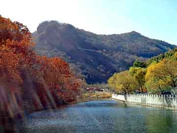 新澳天天开奖资料大全旅游团，广州发电机出租